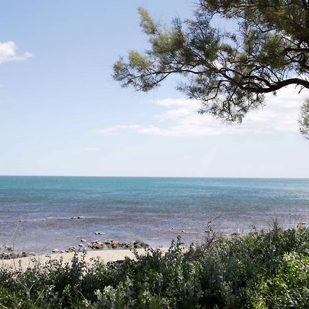 Centre Port,Vue Panoramique,Clim,Balcon,Wifi Apartment Agde Exterior photo