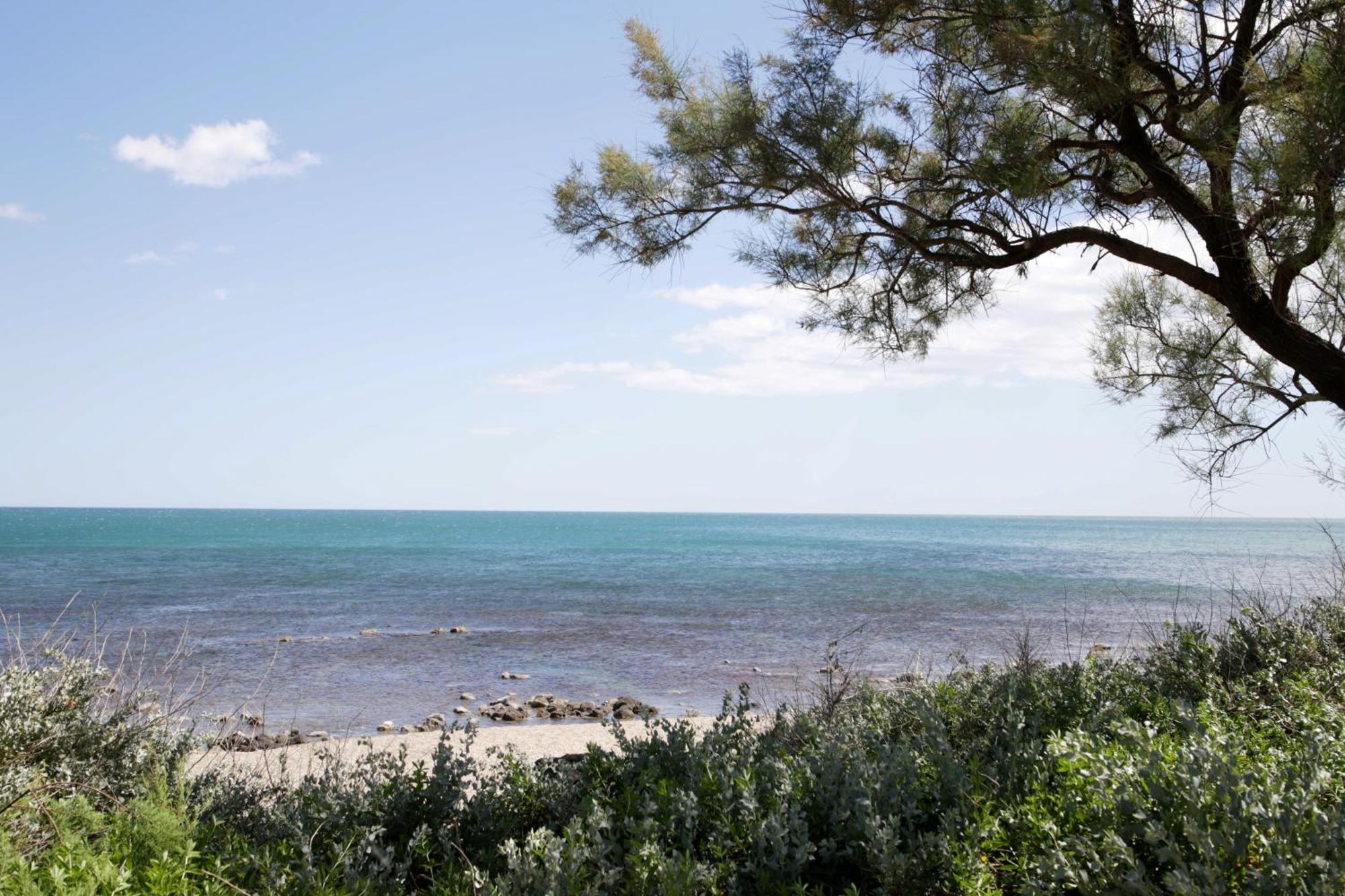 Centre Port,Vue Panoramique,Clim,Balcon,Wifi Apartment Agde Exterior photo